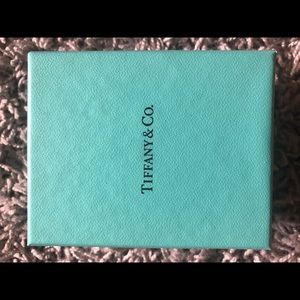 Tiffany “N” Initial Necklace